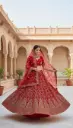 Crimson Elegance